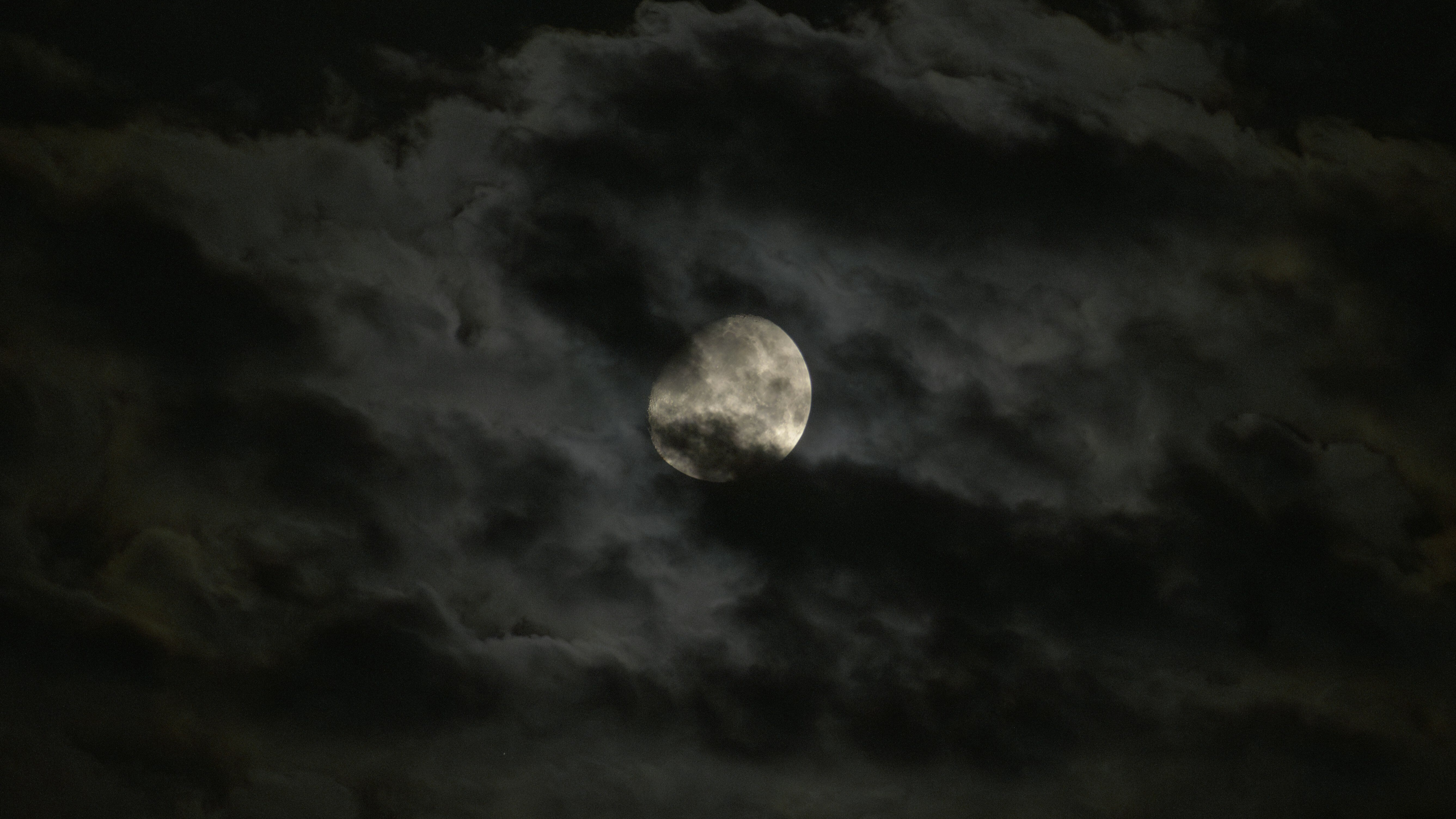 The Edge: A Tale of Strength and Perseverance